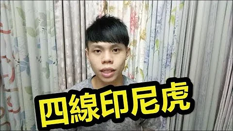 简单介绍我的四线印尼虎~ - 天天要闻