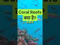 Coral Reefs: Life under the Ocean #formation #viral #shorts #geography