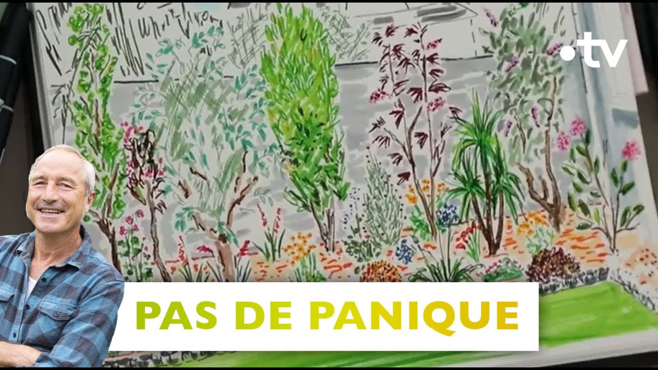 Pas de panique/3 ans après: mur à cacher au fond du jardin & animer 1 plate-bande-Silence,ça pousse!
