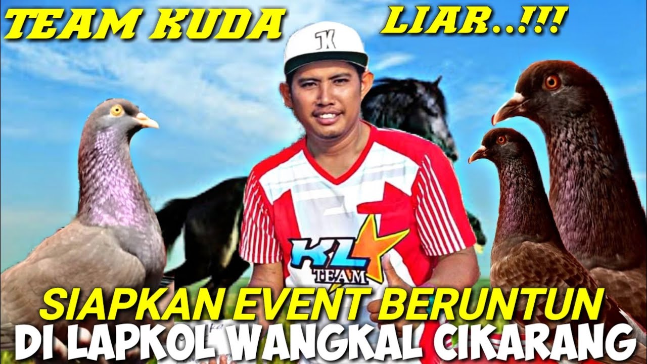 GREBEK !!! KANDANG TEAM KUDA LIAR BOS PIYOL TERNYATA INI YANG LAGI DI SIAPKAN UNTUK KALIAN