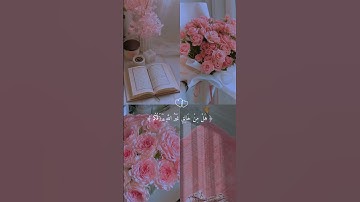 القران الكريم #فلسطين حرة 🇵🇸 نصائح اسماء ⭐💗