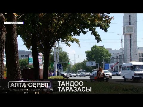 Video: Уулар (Жалпы сереп)