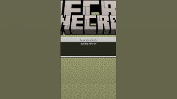 Finally in the End Dimension #minecraft