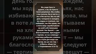 #1Коринфянам 4:10-13 #Библия #СтихДня