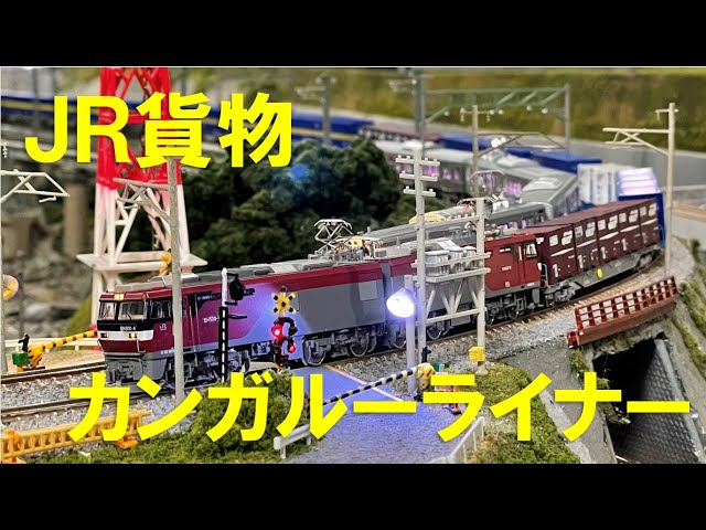 Nゲージ＞JR貨物 EH500牽引 西濃運輸 カンガルーライナー Modellbahn