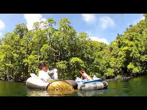 Palau - A visit to Jellyfish Lake