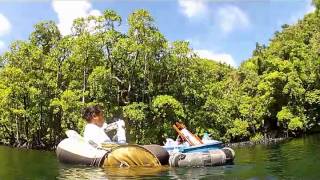 Palau - A visit to Jellyfish Lake