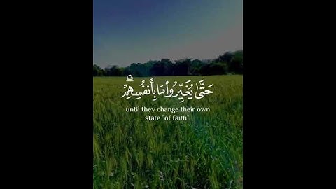 أرح سمعك 🥀القارئ: طارق محمد 🍃حالات واتس آب