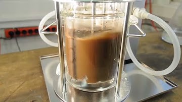 Simultaneous saccharification and fermentation (SSF) with INFORS HT Labfors 5 bioreactor