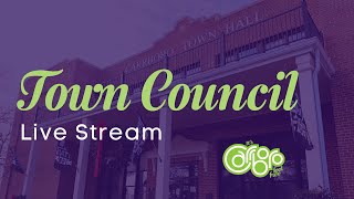 Carrboro Town Council Meeting April 20, 2021