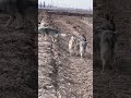 At the Edge of Action 33