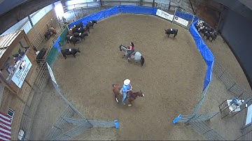Big Sky Ranch Sorting Saddle Series Finals - #3 - Round #2 - Ride #3
