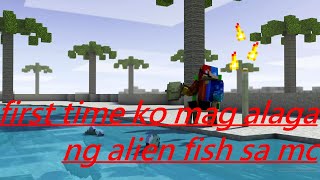 first time ko mag alaga ng alien fish sa Noypicraft | introducing my shout out pool