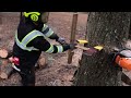Tree Felling; Compilation of One Job