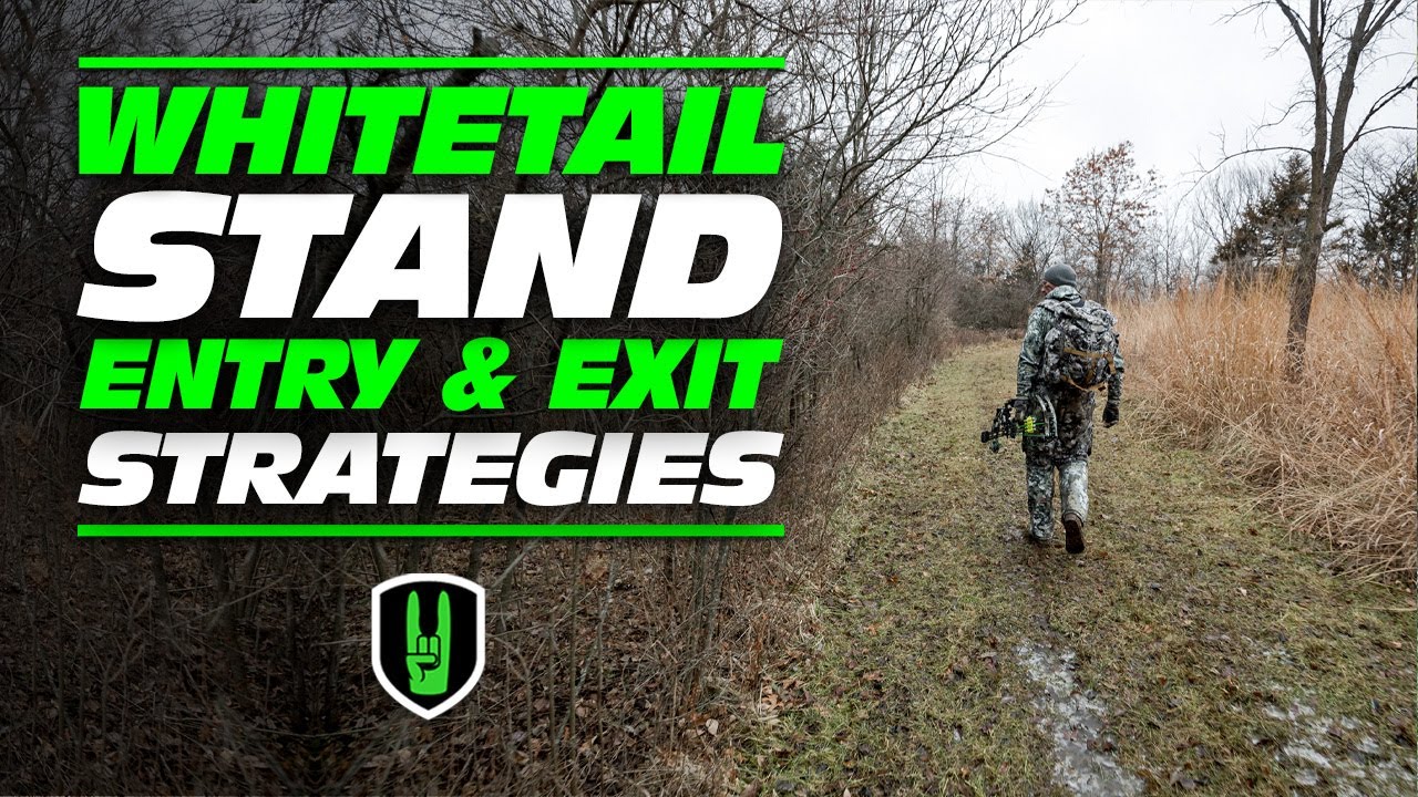 WHITETAIL STAND ENTRY & EXIT STRATEGIES