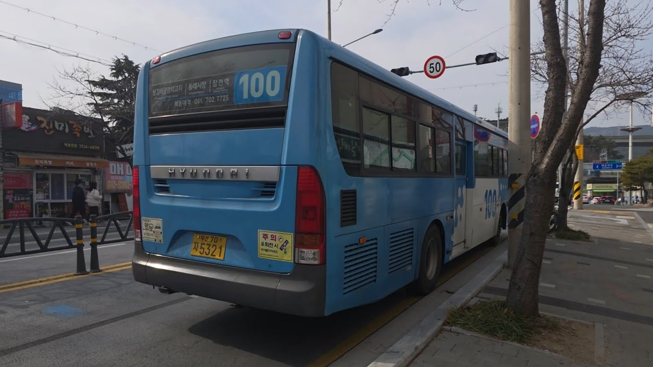 부산 100번 (당사,공수마을 ~ 송정)