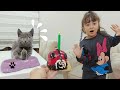 ESMA KEDİSİYLE PASTAYI PAYLAŞAMADI BONUS GELDİ KEDİ ŞAŞIRDI !