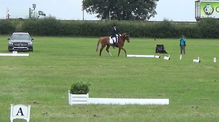 Julie Lees - Goldquest - N29 - BRC Nationals