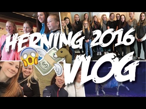 Herning Hingstekåring 2016 VLOG - Mille Jørgensen Herning Hingstekåring 2016 VLOG - Mille Jørgensen