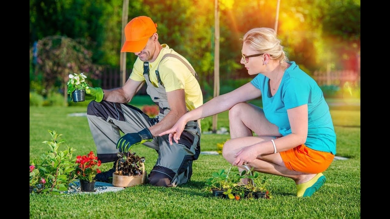 Fall & Spring Lawn Care near West er UT Green Castle Lawn Care and Pest Control YouTube