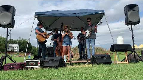 Earnest T. Grass Bluegrass Instrumental - Shannon ...