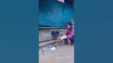 Prevent Rain storm Flooding Unclog Sewer Drain by plastic Debris #shorts #cleaning #real #unclog