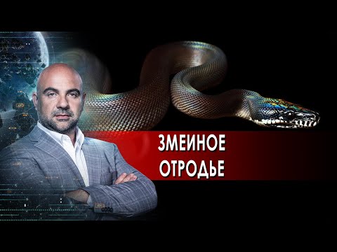 Змеиное отродье. "Как устроен мир" с Тимофеем Баженовым.(03.02.2022).