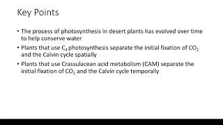 Adaptations to the Environment - C4 and CAM Plants