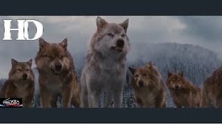 Alacakaranlık 5 Son Dövüş 25 Hd Türkçe Dublaj