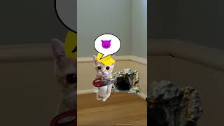 Antcat vs Elgato Part 1 🐱❤️ #catmemes #cat #shorts #fyp #bananacat