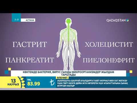 Бейне: Балада қандай қан болады?