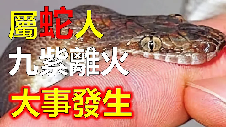 预测2024生肖运势，十二生肖属蛇人的运势。2024年九紫离火是东方青龙的神火，给属蛇人带来健康、属蛇人勇气和财富。属蛇人在九紫离火运势下会有哪些变化，属蛇人将迎来事业的高峰，生肖蛇运势，阿南德 - 天天要闻