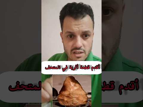 أقدم قطعة أثرية في المتحف المصري الكبير المتحف المصرى الكبير آخر الأخبار