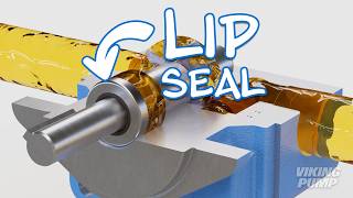 How Do Lip Seals Work in Pumps