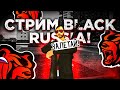 ИГРАЕМ НА BLACK RUSSIA RP / ИНВАЙТ В ФАМУ! (CRMP MOBILE СТРИМ)