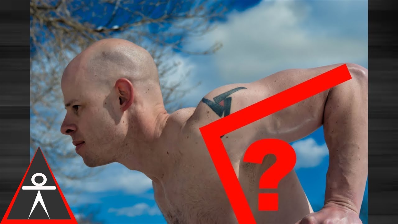 calisthenics workout program for beginners Does Dip Angle Change Tension in the Chest & Triceps?