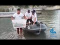 Napoli, tartaruga salvata e curata al largo della Gaiola