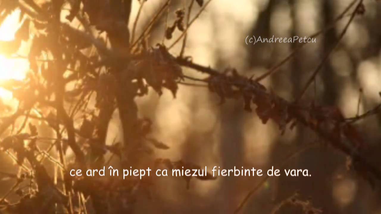 lyrics lover taylor swift ERNESTO CORTAZAR- All The Things We Shared
