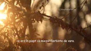 ERNESTO CORTAZAR- All The Things We Shared