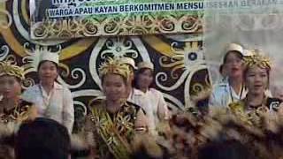 Download Lagu Dayak kenyah lepo tau dan lepo jalan MP3 Download Lagu Dayak kenyah lepo tau dan lepo jalan MP3