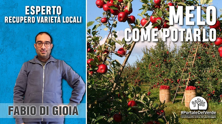 Come potare il melo