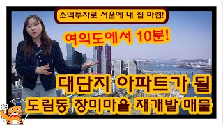 여의도에서 10분! 대단지 아파트가 될 도림동 장미마을 재개발 매물!