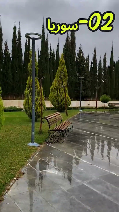 أصعب 5 مناهج دراسية في الوطن العربي | الجزائر في الصدارة؟ 🇩🇿 #الجزائر #اكسبلور #الدول_العربية