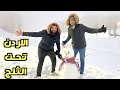 ماذا يفعل الاردنيون عند تساقط الثلج مصري تحت الثلج لاول مرة 