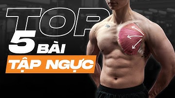 TOP 5 BÀI TẬP NGỰC hay và hiệu quả | My Favourite Chest Exercises | SHINPHAMM