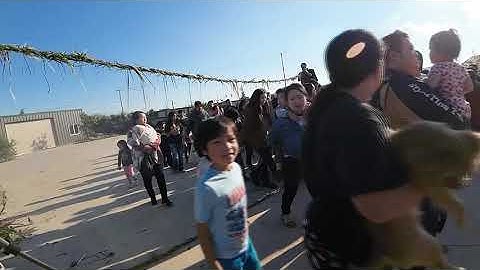 OTHER SUB OR OTHER TURKEY 2026 PART # 2