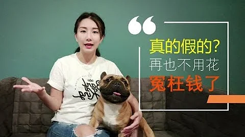 如何【不靠藥物】解決狗狗皮膚問題 - 天天要聞