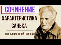 Характеристика Санька в рассказе «Конь с розовой гривой» В. Астафьева