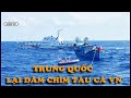 Video for đuổi tàu cá TQ