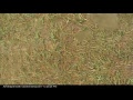 Youtube Thumbnail EAA AirVenture Oshkosh North Webcam